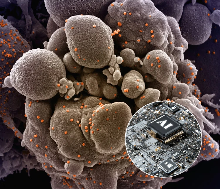 Umelá inteligencia vidí v krvi to, čo ľudia často prehliadnu