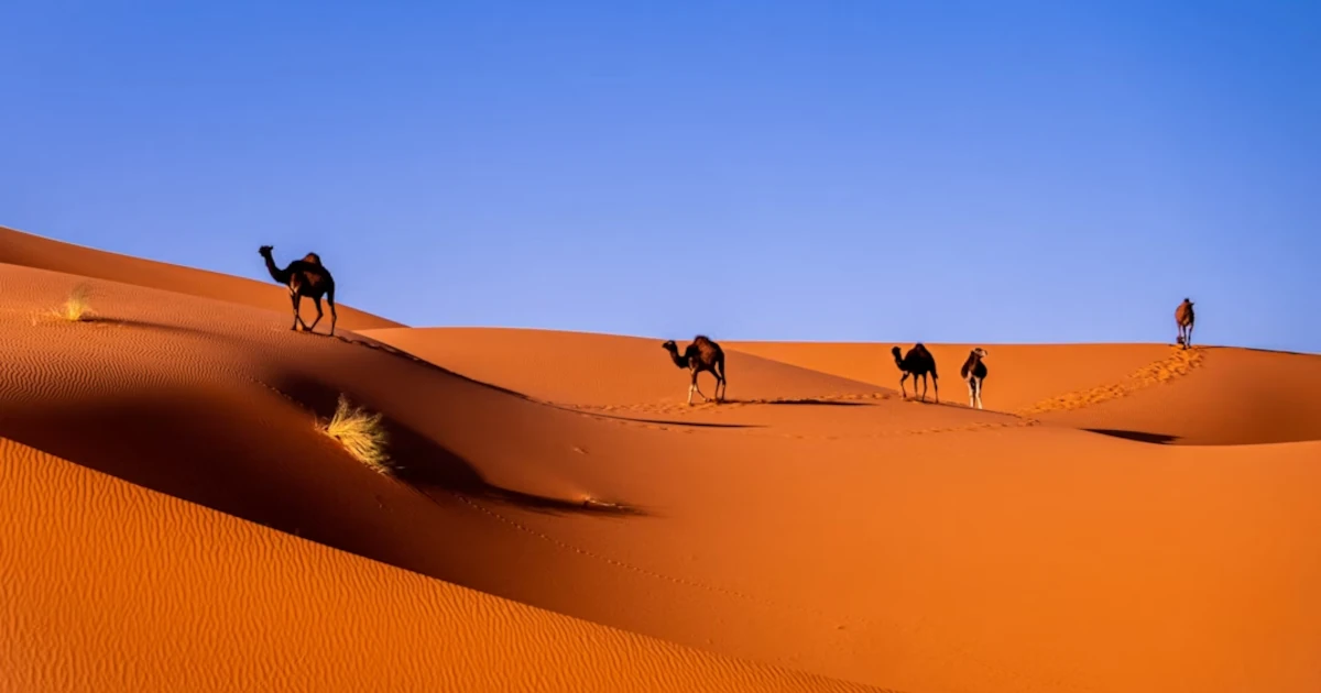 20 zaujímavých faktov o Sahare: Najväčšej horúcej púšti sveta, ktorá je plná života, histórie a prekvapení