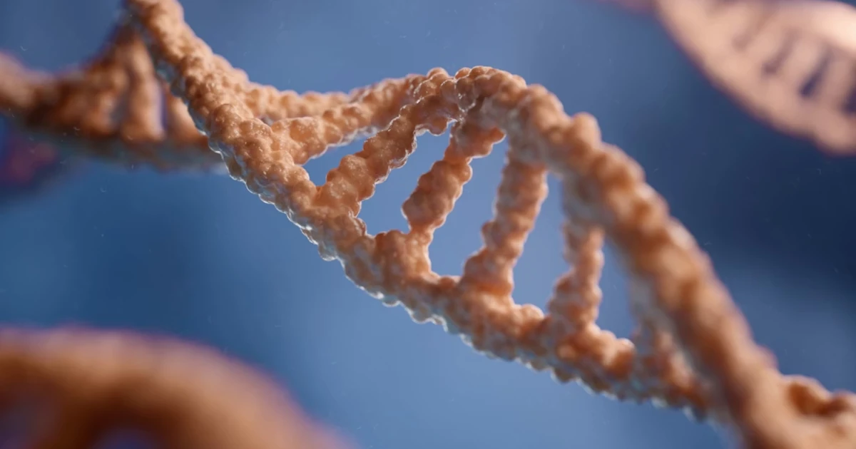 Prečo je 3D štruktúra DNA dôležitá pre zdravie človeka