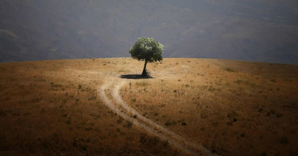 Starší než posledný spoločný predok? Ako prastaré gény odhaľujú skrytý príbeh vzniku života