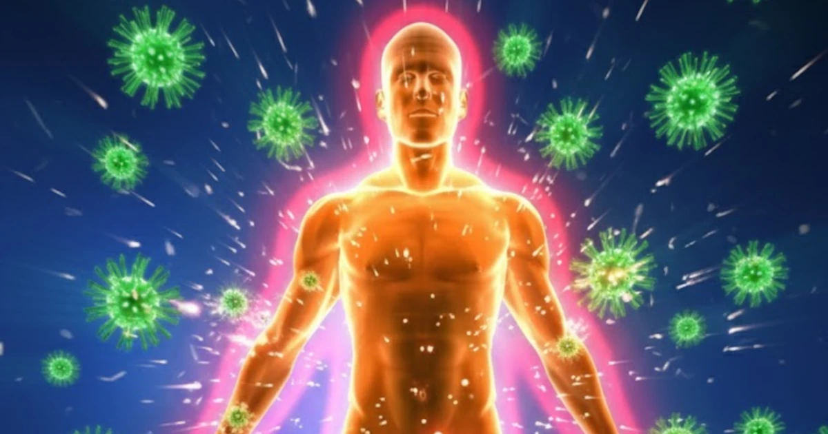 Ako životné skúsenosti prepisujú imunitný systém: Revolučný objav vedcov otvára nové možnosti liečby