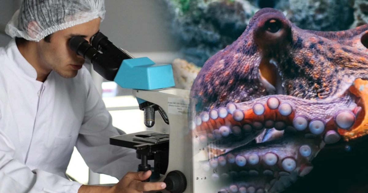 Chemici vyvinuli revolučnú hydrogelovú „kožu“, ktorá mení tvar a vzhľad: budúcnosť robotiky a nositeľných technológií