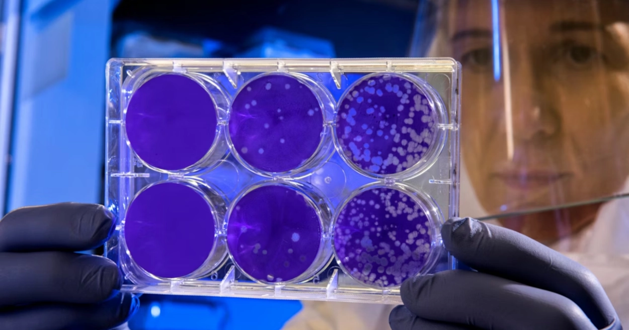 Baktérie proti rakovine: Vedci programujú mikróby, aby ničili nádory zvnútra